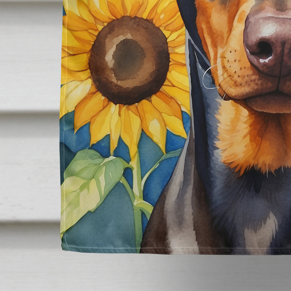 Doberman Pinscher in Sunflowers House Flag
